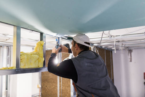 Best Insulation Maintenance and Repair in Bemidji, MN
