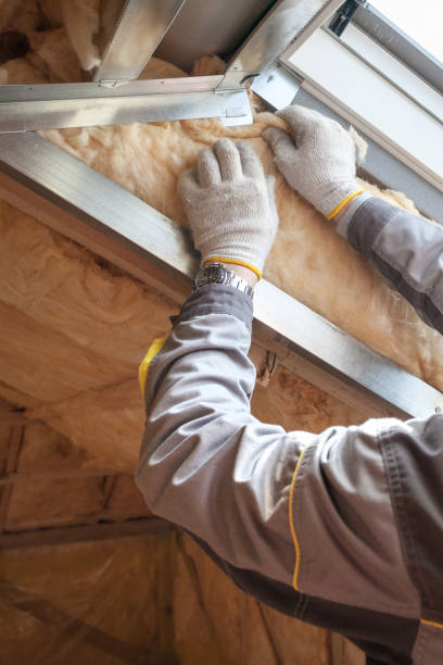 Best Insulation Installation Services in Bemidji, MN