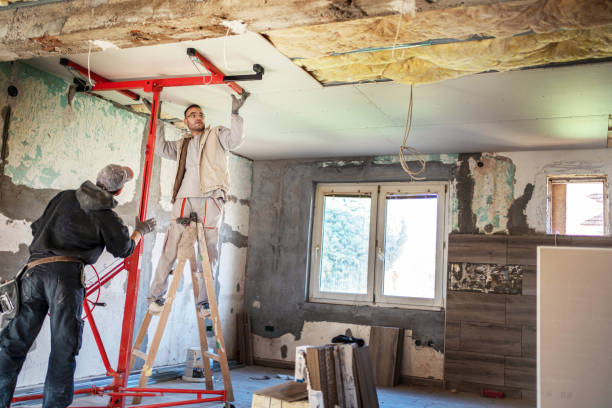 Best Specialty Insulation in Bemidji, MN